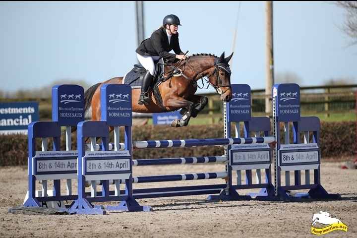 Niamh McDaid showjumping training over a course