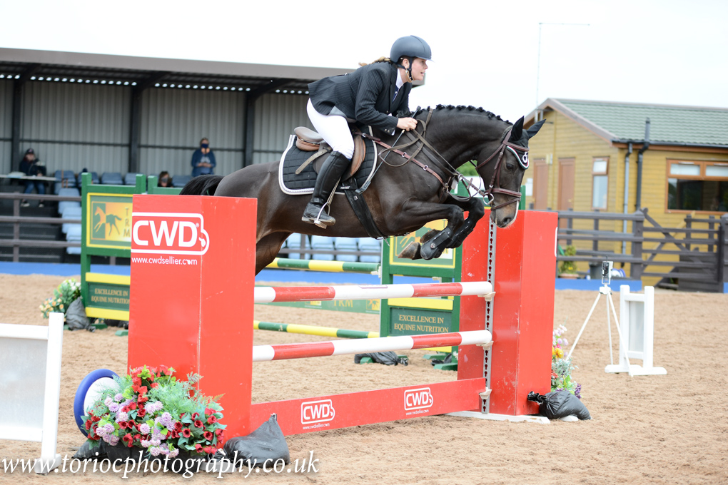 Horse and rider clearing a showjumping fence during a training session